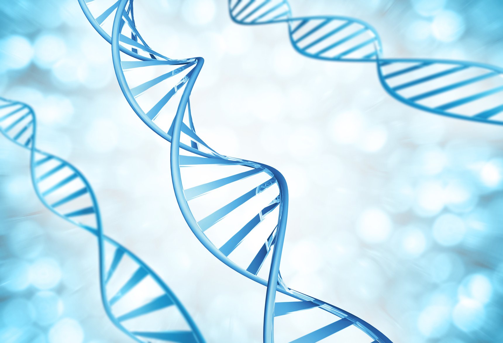 Genetic strands of DNA molecules magnified